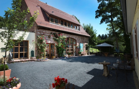 2013-7-8 Profi-Fotos Kohlhof3 030 (Medium)