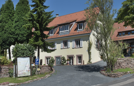 2013-7-8 Profi-Fotos Kohlhof3 042