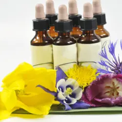 Bachblten Bachblüten